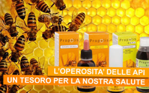 La Propoli: un vero e proprio tesoro prodotto dalle api