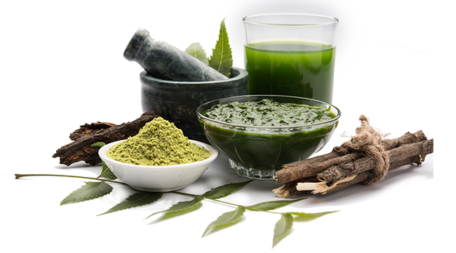 NEEM-centrale.png