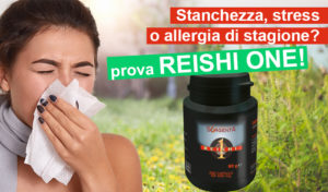 Scopriamo il Reishi
